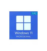 Windows 11 Pro 64 bit