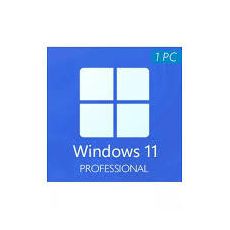 Windows 11 Pro 64 bit